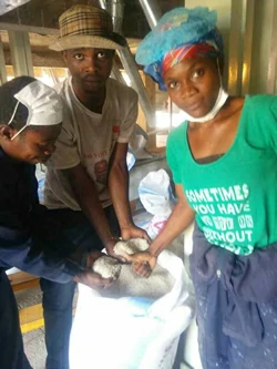 100 tpd complete rice mill plant