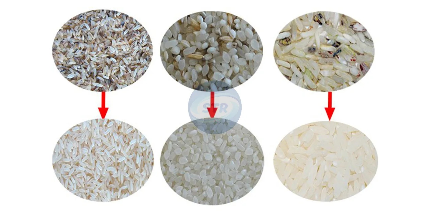 commercial ccd rice color sorter processing equipment processing effect