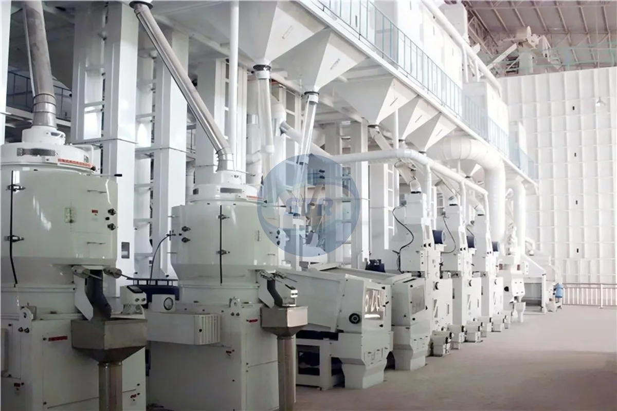 commercial mchj1000 complete rice mill plant processing equipment detail view