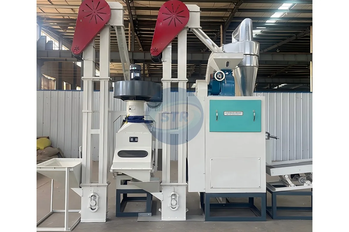 mini1000 compact rice mill plant